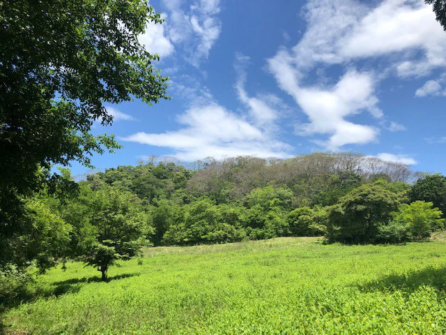 Amazing 50% discount for Huge ocean-view farm for sale surrounded by soft rolling hills and pristine nature - Gallery image 15
