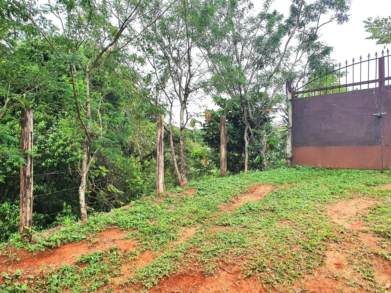 Land in Bijagual with a river crossing the property! - Gallery image 7