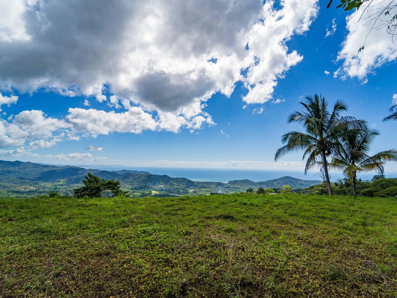 Lote Tres Palmas: Stunning Ocean View lot with 2 Platforms - Gallery image 10