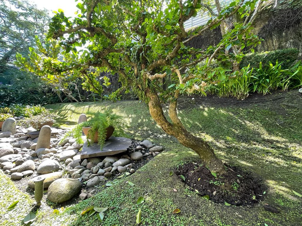 One Floor House for Sale Wide Garden Santa Ana Costa Rica - Gallery image 22