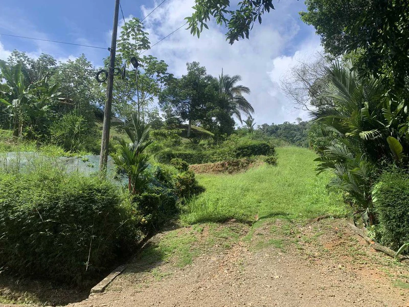 Playa Hermosa: Two Locations to Build, Permits Ready - Gallery image 8