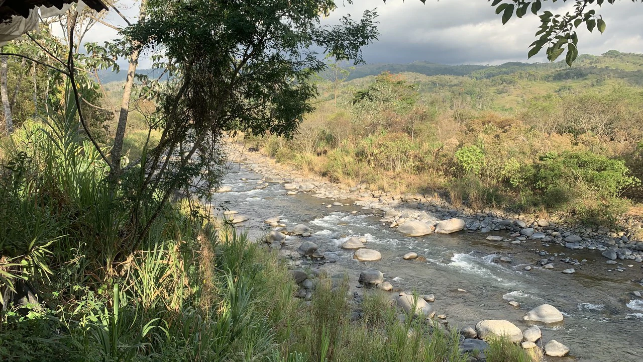 Talari Hotel: Nature and Bird Lover's Paradise - Mountain Lodge - Gallery image 40
