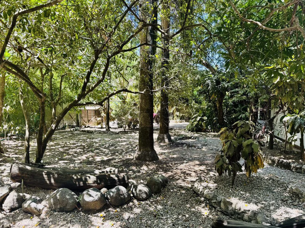 Casa Colibri: Tropical Home with Casita, Pool & Prime Buenavista Location - Gallery image 16