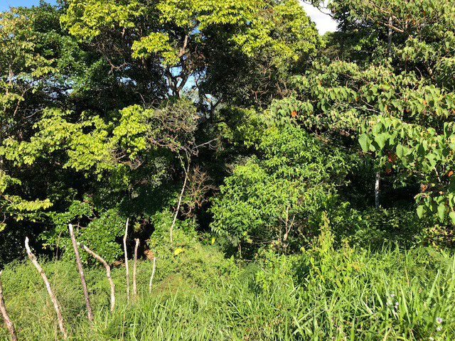 1.24 ACRES – Alto de San Juan, TOP OF THE WORLD VIEWS, Cool Breezes, Ready to Build Your Dream!!!!!: Mountain Development Parcel For Sale in Alto San Juan - Gallery image 12