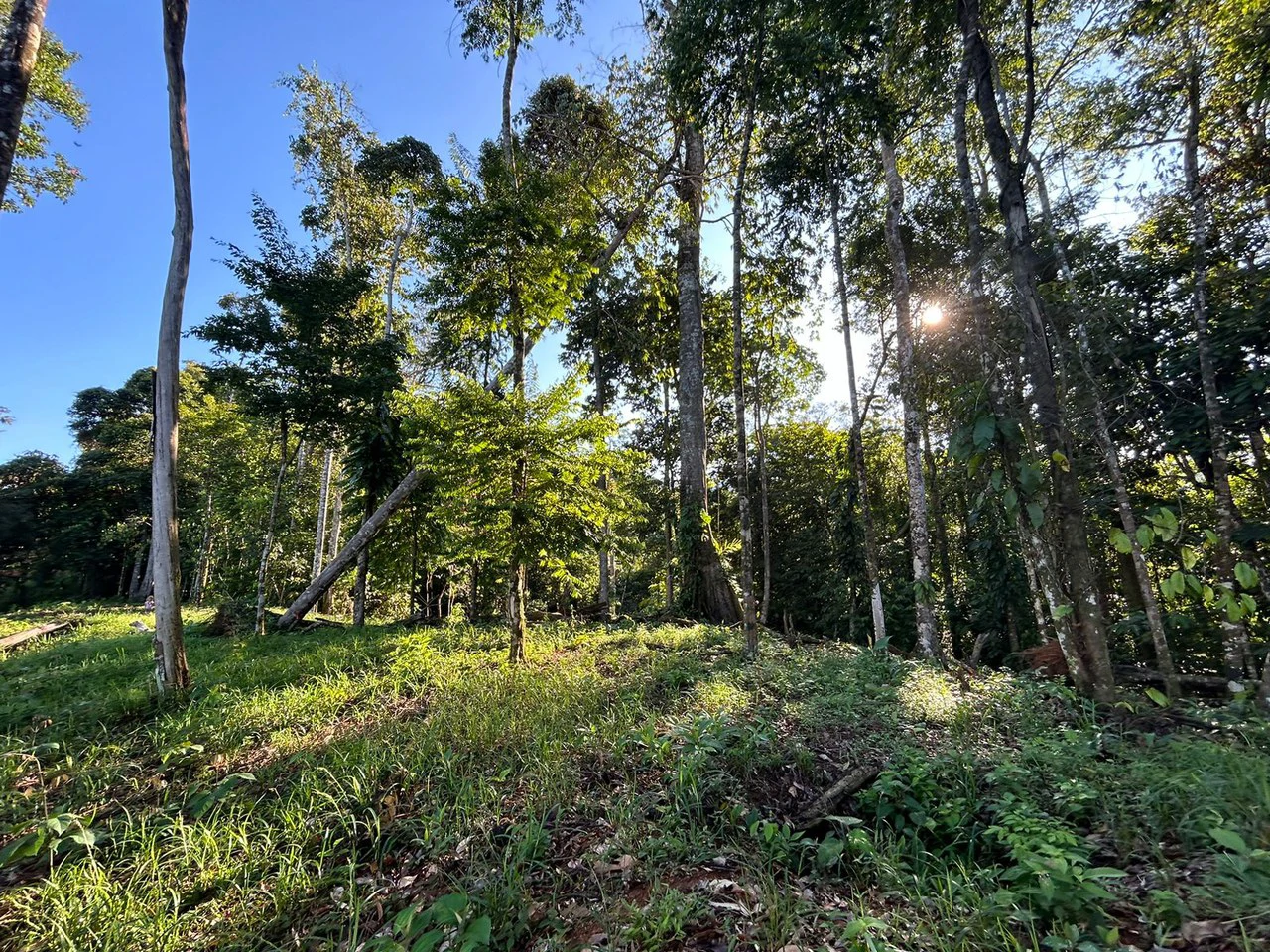 Marvelous Ocean View Parcel in Uvita. - Gallery image 21