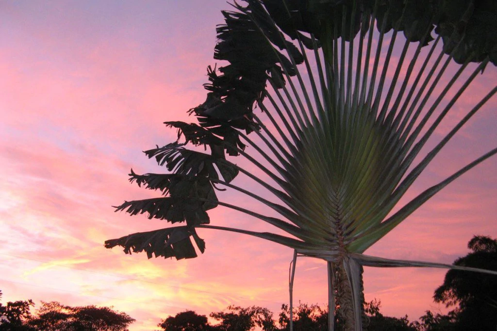 Hotel Horizontes Montezuma: Stunning Boutique Hotel in Montezuma near New Cobano Airport - Gallery image 29