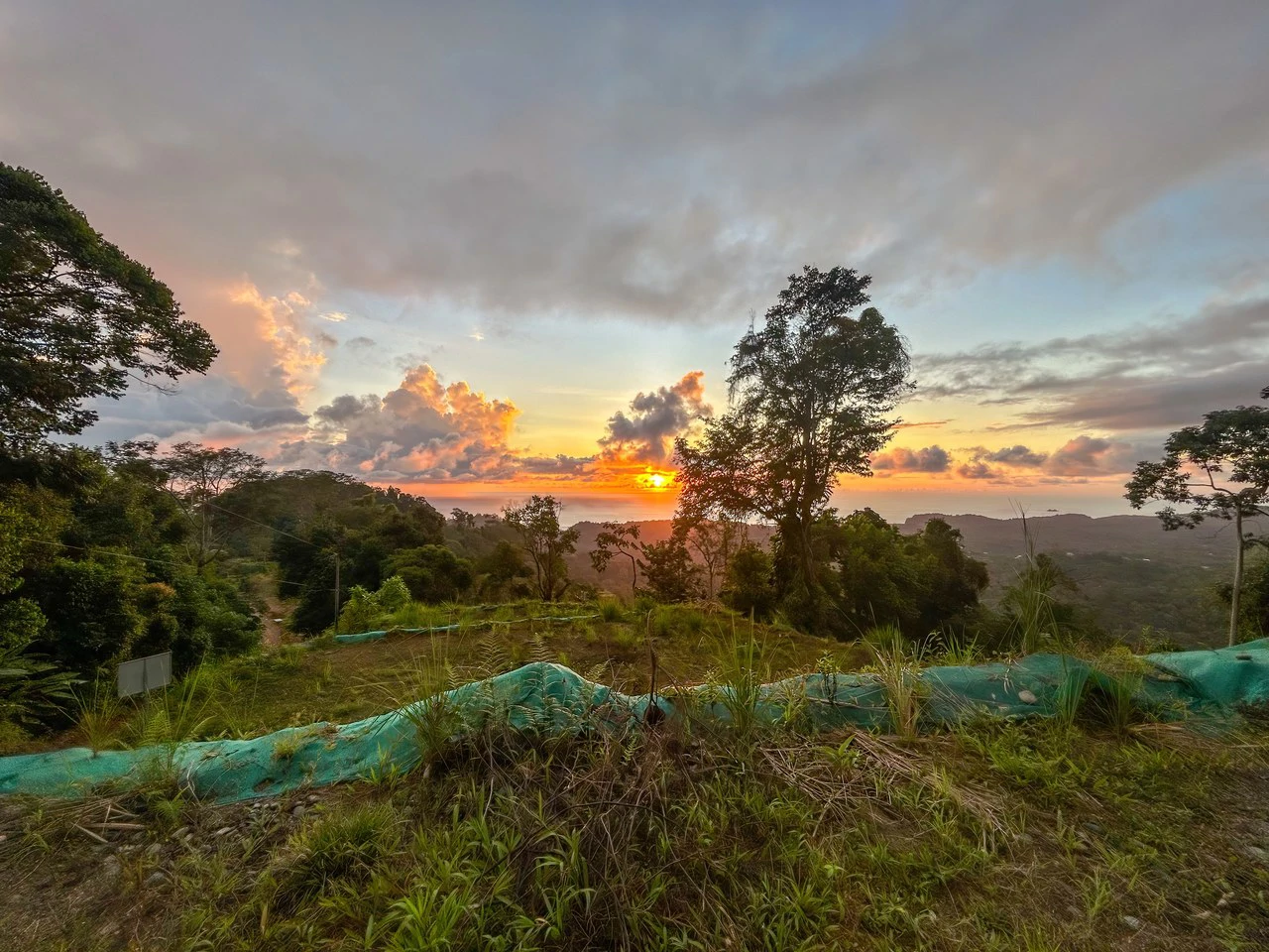 Year-Round Sunset Views | 3 Connected Build-Ready Lots - Gallery image 4