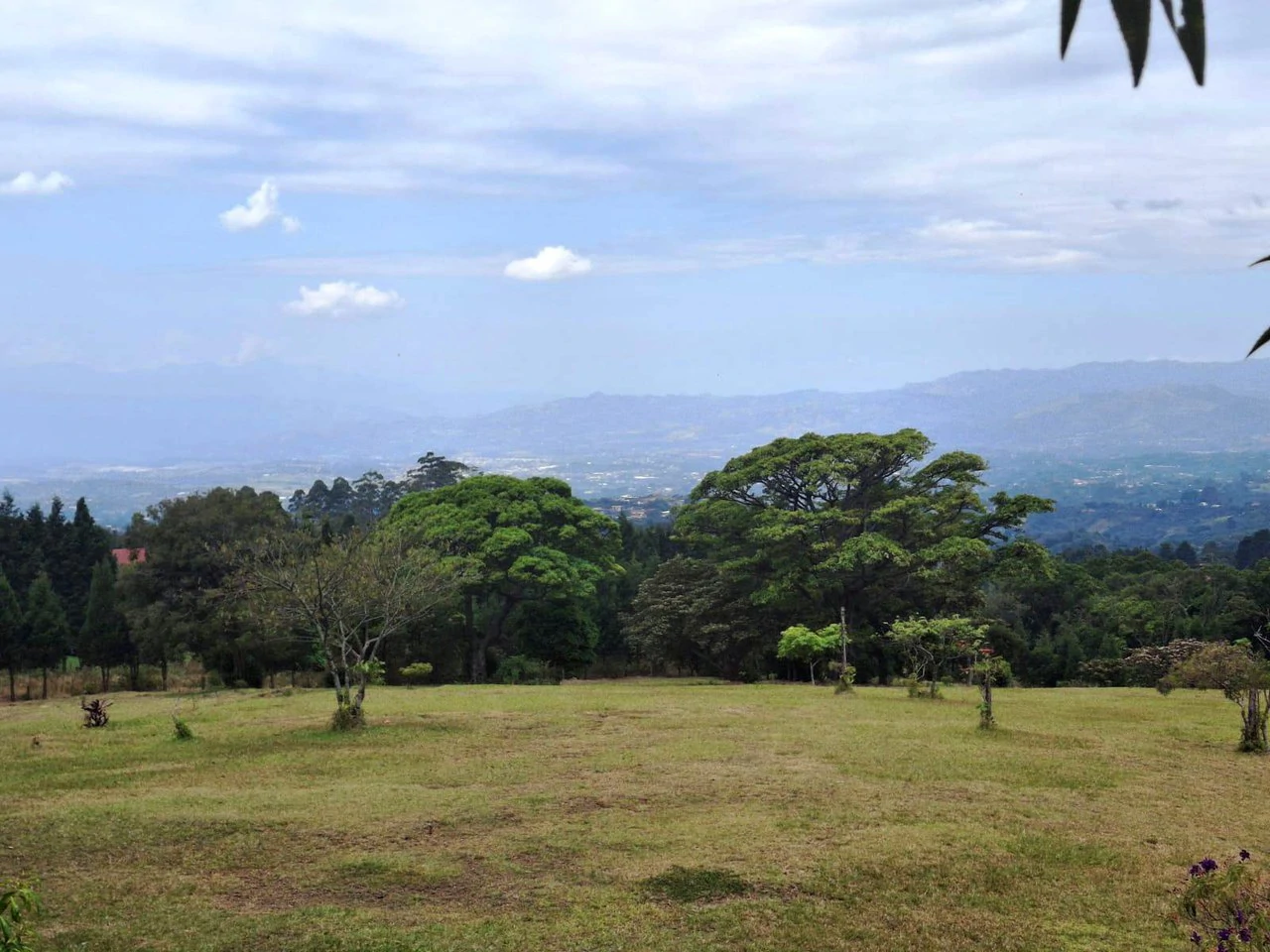 Mountaintop Canvas!: 31,000m2 - Entrepreneur's Dream Property! - Gallery image 3