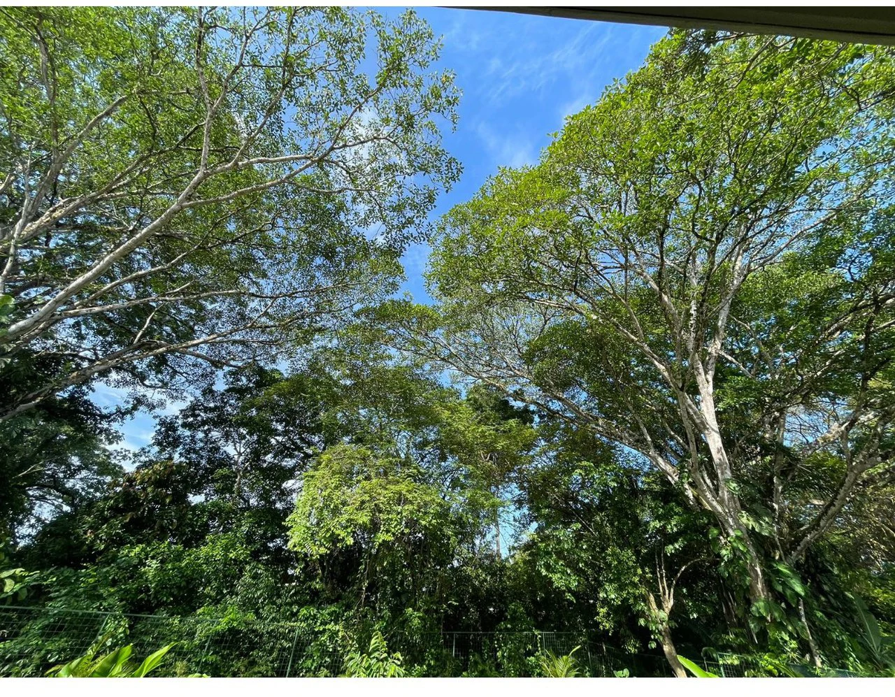 0.17 ACRES – 3 Bedrooms, Brand New Luxury Home in Uvita, Minutes From Beaches and Services, Wooded Lot, Year Round Stream, Private And Fully Furnished, Ready to Move!!! - Gallery image 31