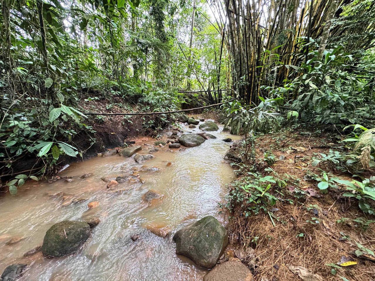 3.2 Acre Riverfront Property with Mountain Views San Francisco San Isidro - Gallery image 20