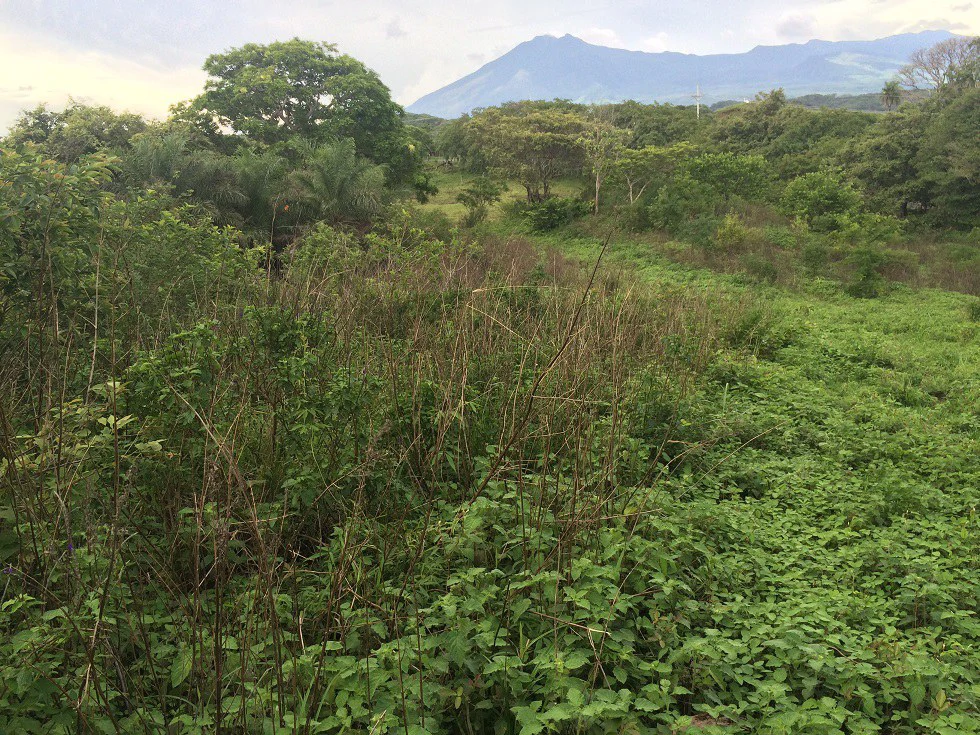 Mountain Property for Sale with charming 360º views of Guayabos Valley and the Volcanoes - Gallery image 31