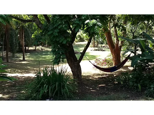 Property 20 minutes from Nosara with riverfront house for sale, San Juanillo beach - Gallery image 5