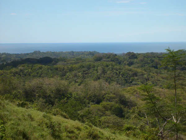 Ocean View Farm - Gallery image 3