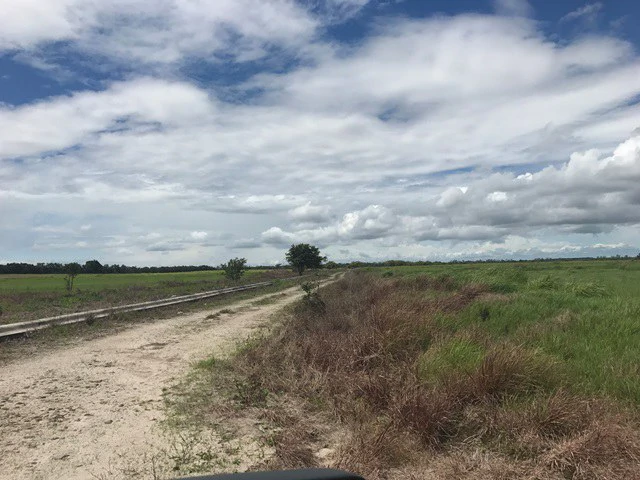 NYA project Price $ 17 m². 21 hectares - Gallery image 8
