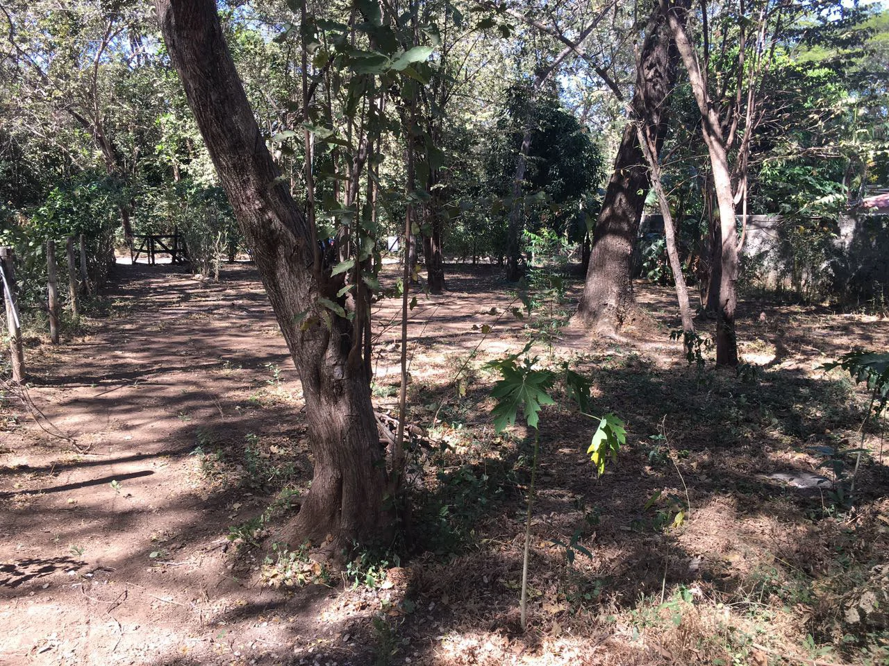 Lot K-24: Surfside lot Near the Beach! - Gallery image 5