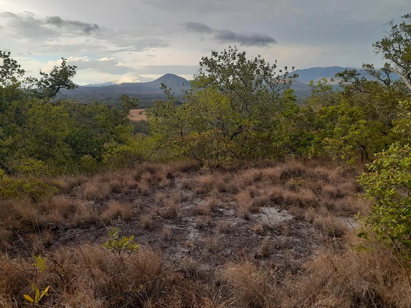 T37: Mountain Home Construction Site For Sale in Curubandé - Gallery image 3