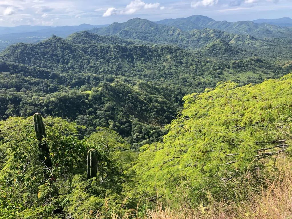 Ocean View Property with Panoramic Views on the Pacific Gold Coast – Guanacaste - Gallery image 8