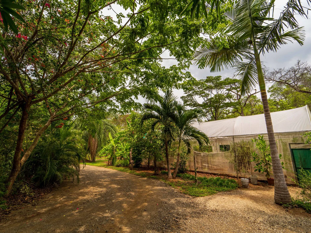 Organic Permaculture Farm and 2BR Single Family Home: Countryside House For Sale in Sámara - Gallery image 7