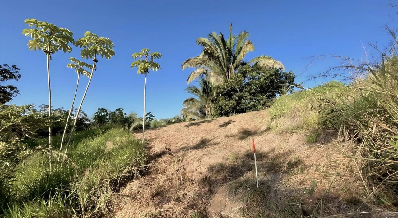 Exclusive Hermosa 1.2 Acre Lot with Panoramic Mountains and Ocean View. - Gallery image 13