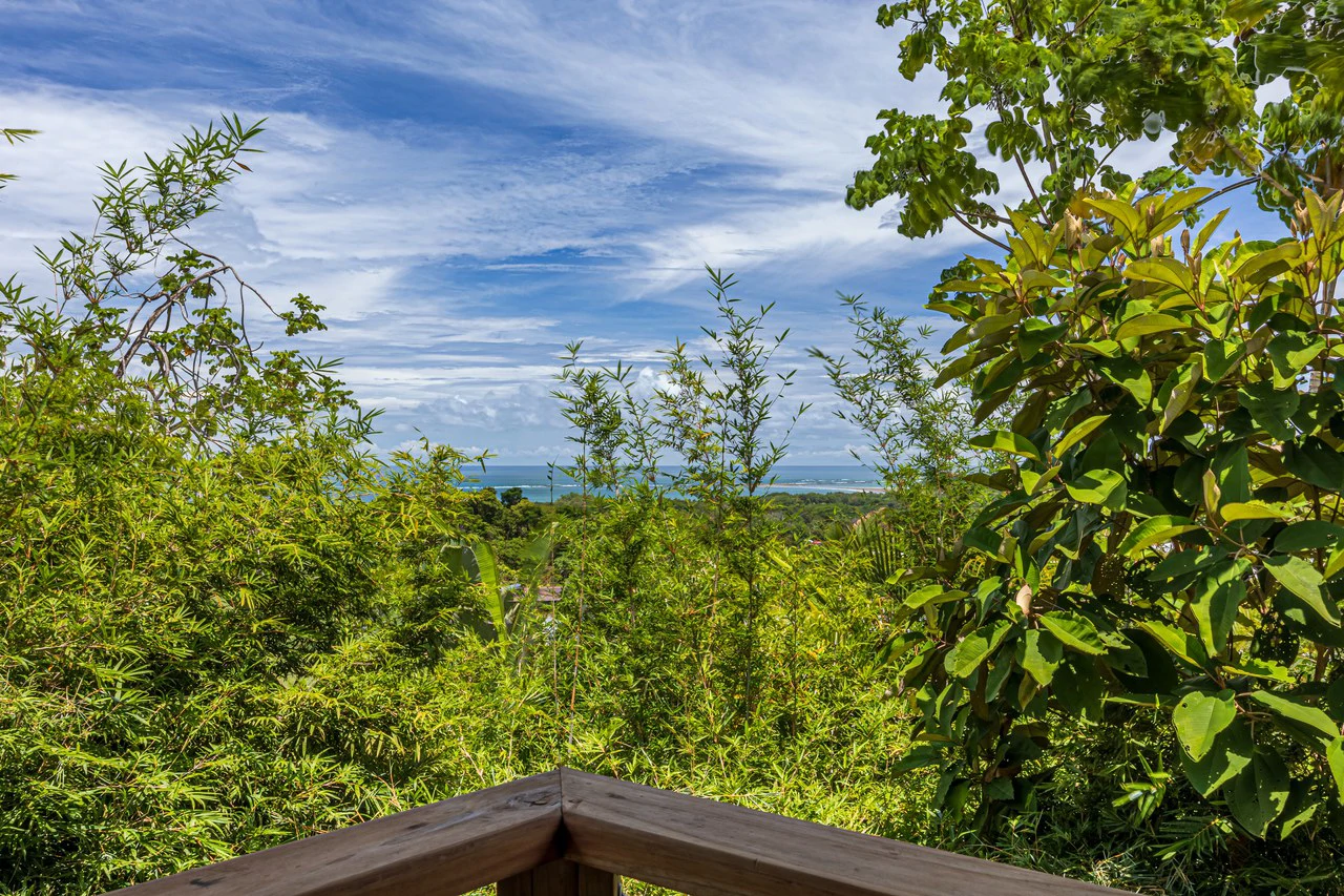 2.56 ACRES – 3 Bedroom Artistic Architectural Masterpiece, Recording Studio, Ocean View, Pool, 1 Bedroom Guest House!!! - Gallery image 44