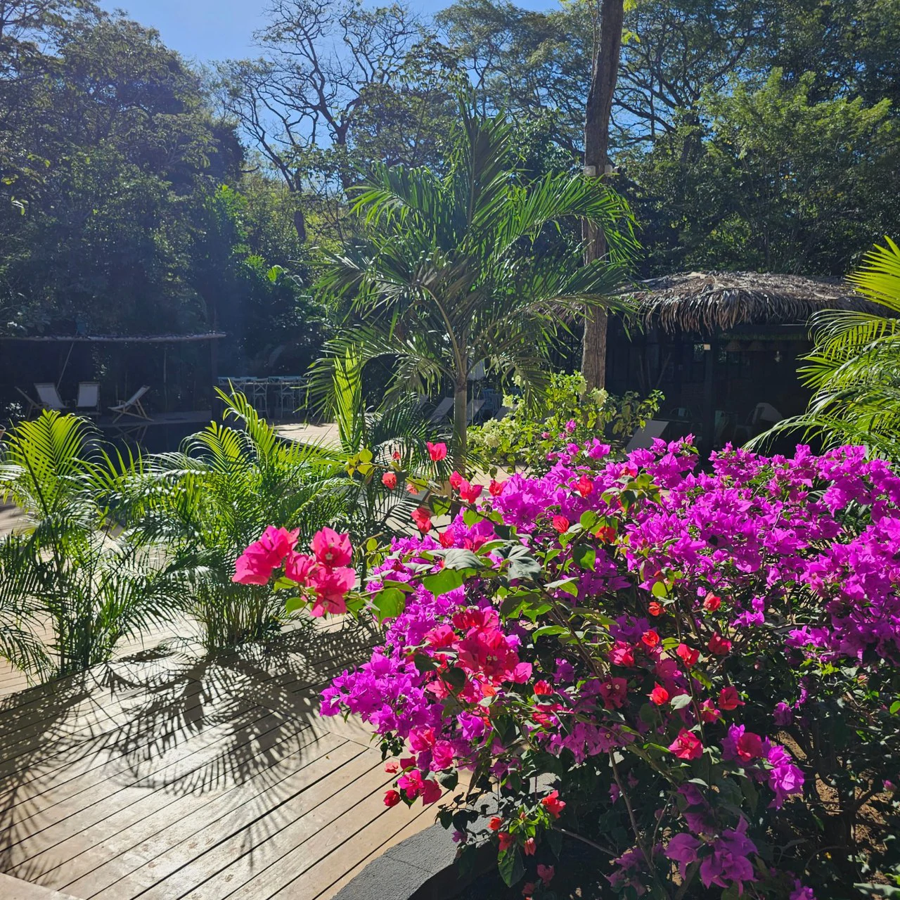 Successful Wellness and Spa with restaurant: One Of A Kind, Successful Wellness, Spa And Restaurant Oasis Close To Tamarindo - Gallery image 20