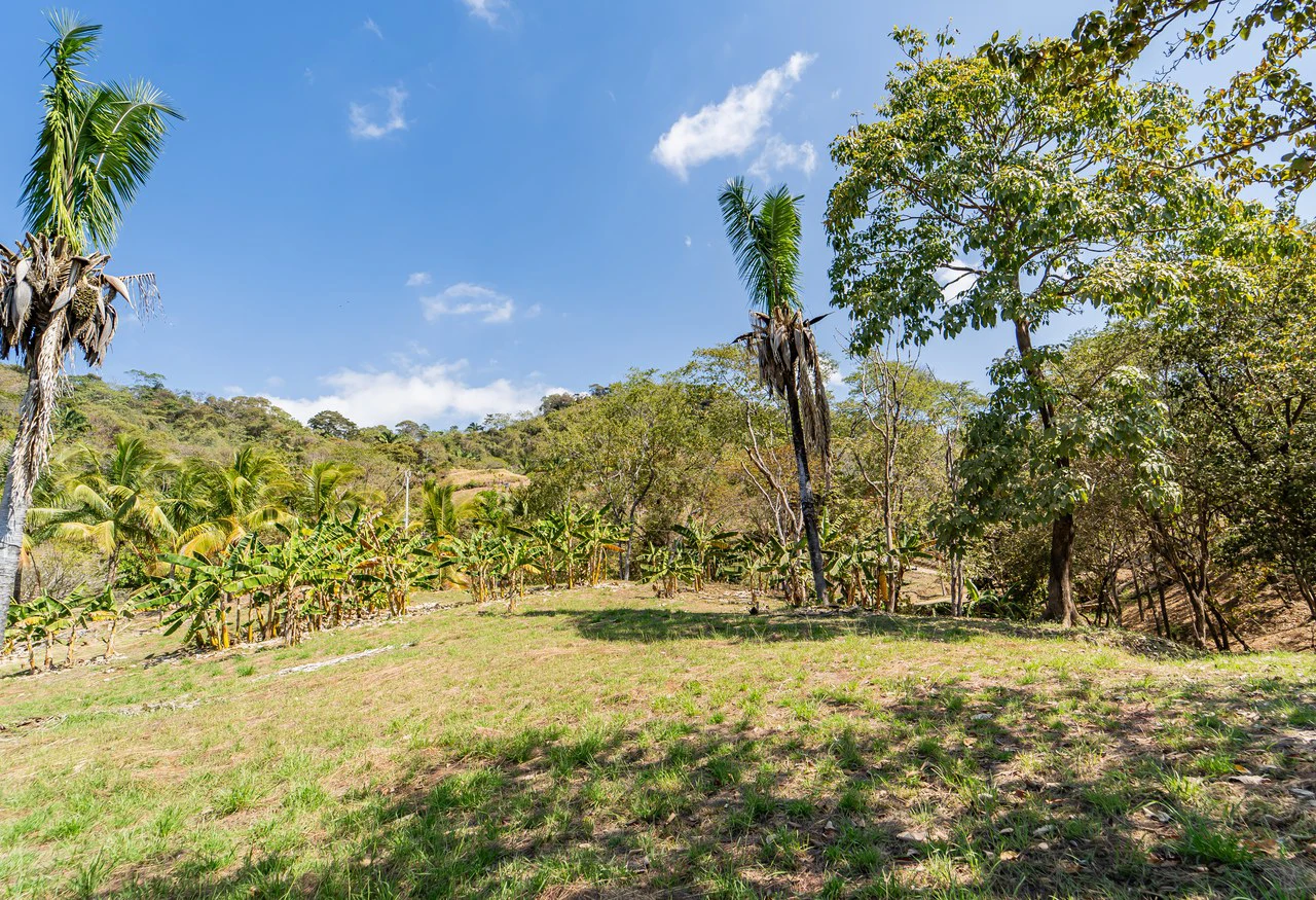 Lote Camaronal Natural: Half Acre Lot Just Mins to the Surf - Gallery image 8