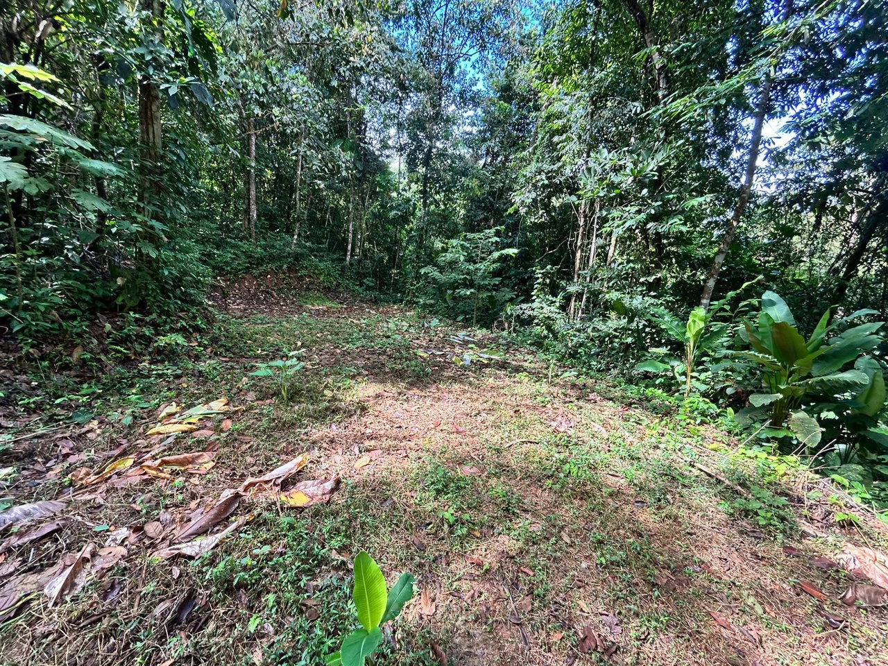 1.4-acre gated lot in Uvita - Gallery image 13