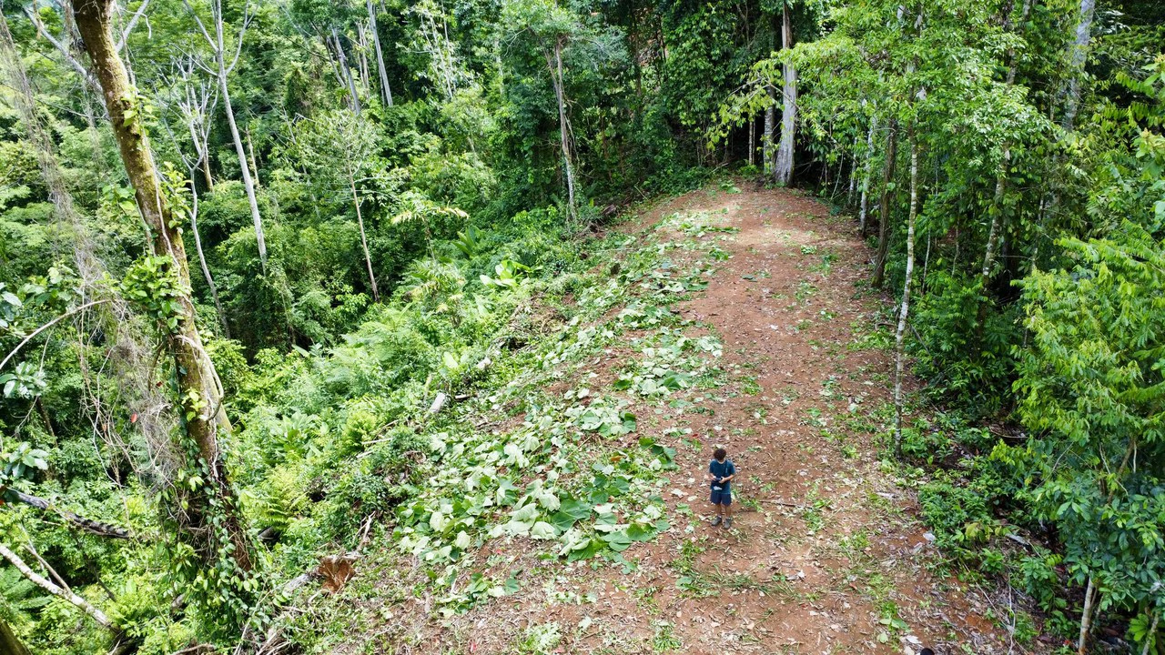 Marvelous Ocean View Parcel in Uvita. - Gallery image 16
