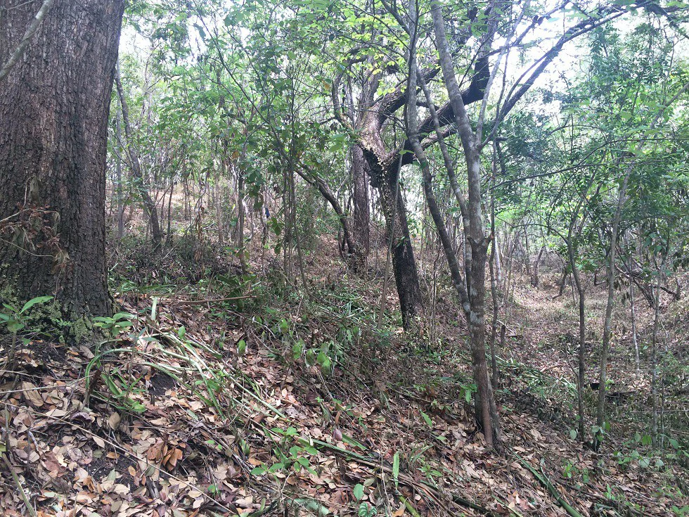 Finca grande: Economic Building property for sale in El Salto, with private access to the surrounding beautiful nature with own river - Gallery image 13