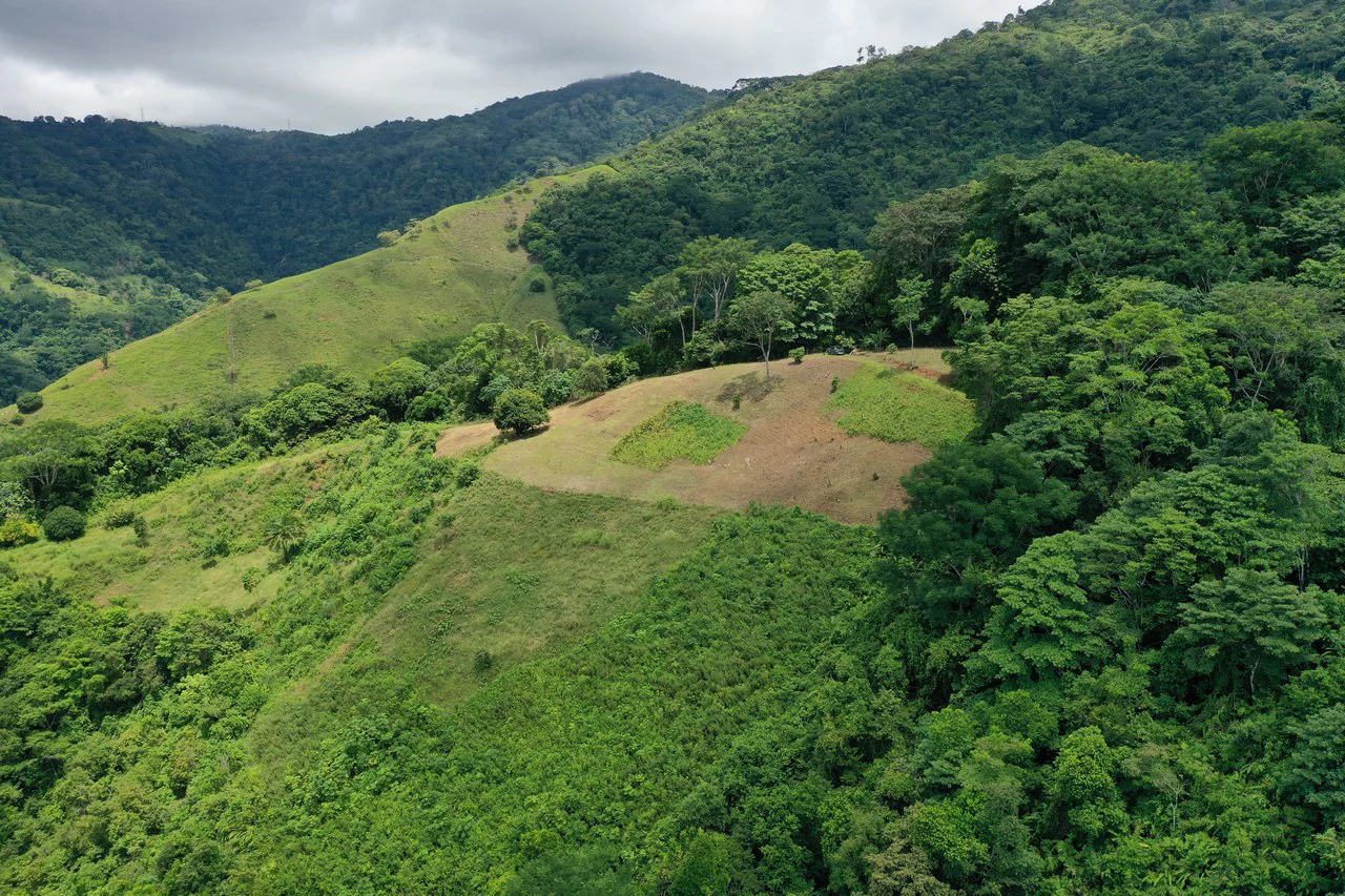 137 Acre Ocean View Farm with Riverfront in Southern Costa Rica - Gallery image 20
