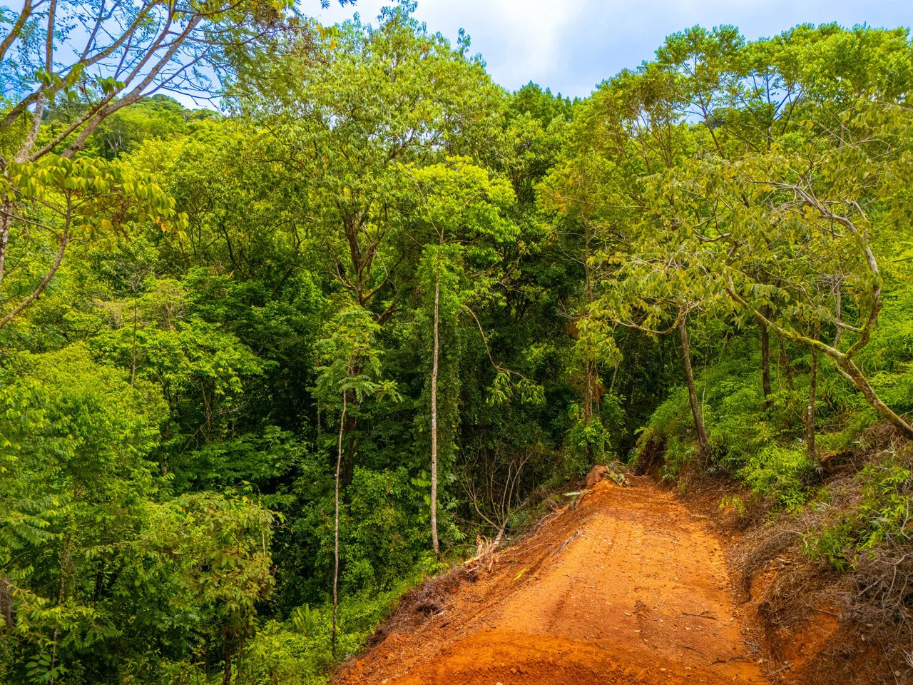 Stairway to the Stars, Ocean View and Waterfall, Ready to Build! - Gallery image 15