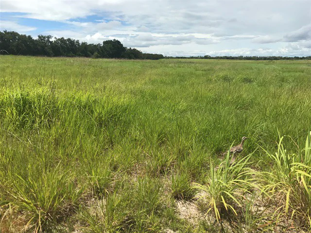 Large Development Land for Sale in Liberia, Guanacaste, Costa Rica - Gallery image 55