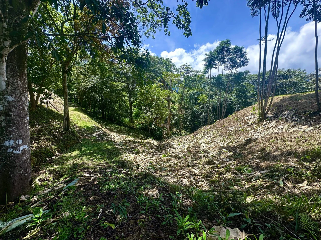 Build-Ready Lot in Ojochal’s Calle Cacique | Easy Access & Stunning Mountain Views - Gallery image 4