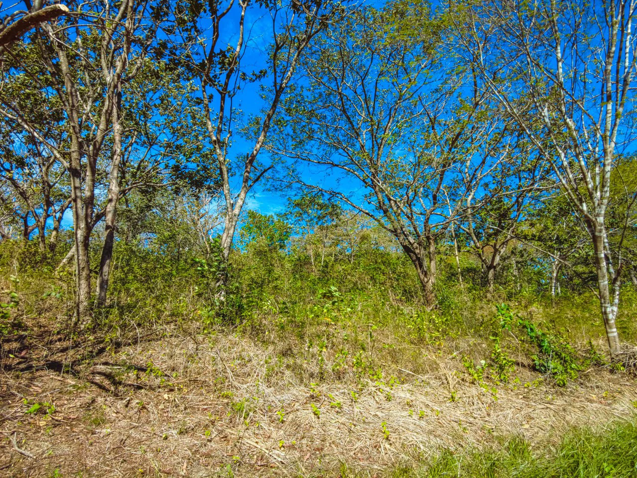 Tierra Pacifica #9: Secluded Lot in Gated Eco Community - Gallery image 6