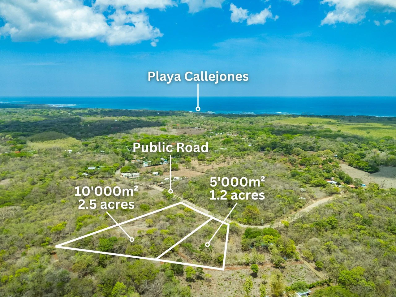 Pura Jungla Lots: Expansive Lots with Water Availability in Los Pargos - Gallery image 17