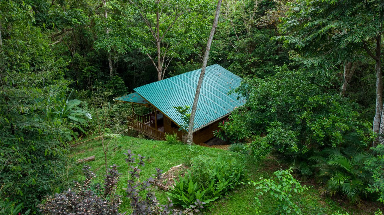 4 Bd/3 Ba - Two Caribbean Homes w/ Pool, on 5000m²: Dual Home Jungle Property in Punta Uva - Gallery image 23