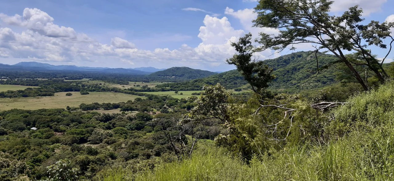 FINCA WITH BREATHTAKING MOUNTAIN VIEWS IN SANTA CRUZ - Gallery image 2