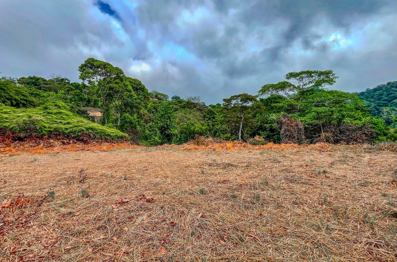 1.32 ACRES- Spectacular Ocean View In Tres Rios, Large Building Site, Legal Water And Electricity, Ready To Build & Close to Beaches!! - Gallery image 5