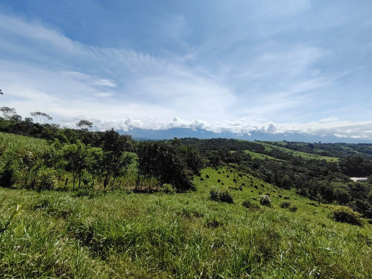 SE VENDE PROPIEDAD EN CAJÓN, COSTA RICA.: Mountain Home Construction Site For Sale in Cajón - Gallery image 18
