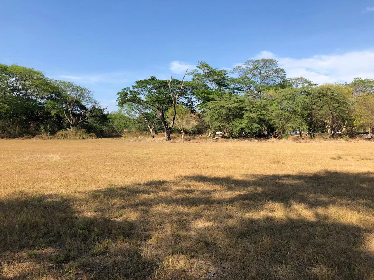 Large property with warehouses in Filadelfia, Carrillo - Gallery image 7