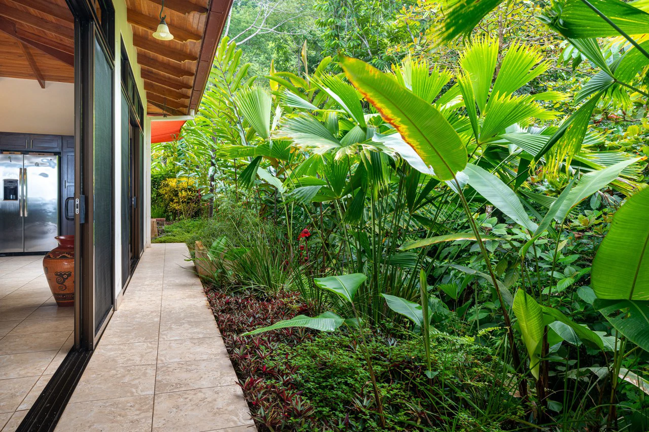 Ocean Mountain View with Privacy! Casa Carpe Diem: Mountain House For Sale in Ojochal - Gallery image 26