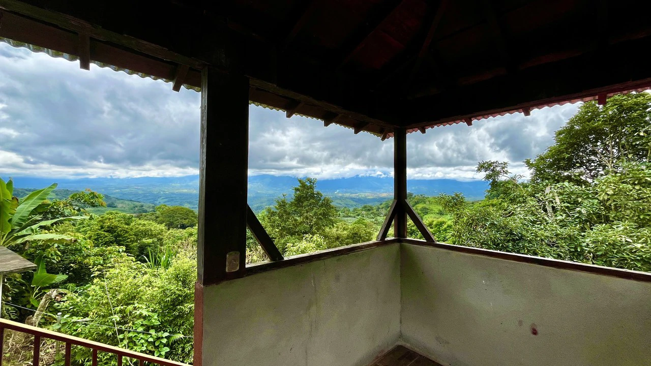 FINCA CON CASA Y MIRADOR: Mountain Agricultural Land For Sale in La Amistad - Gallery image 10