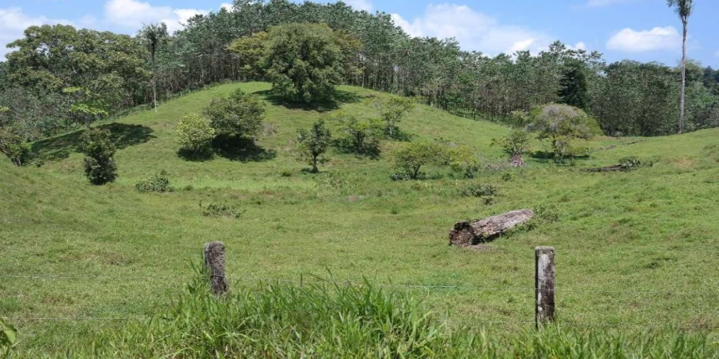 Countryside and Mountain Property For Sale in Pococi - Gallery image 11