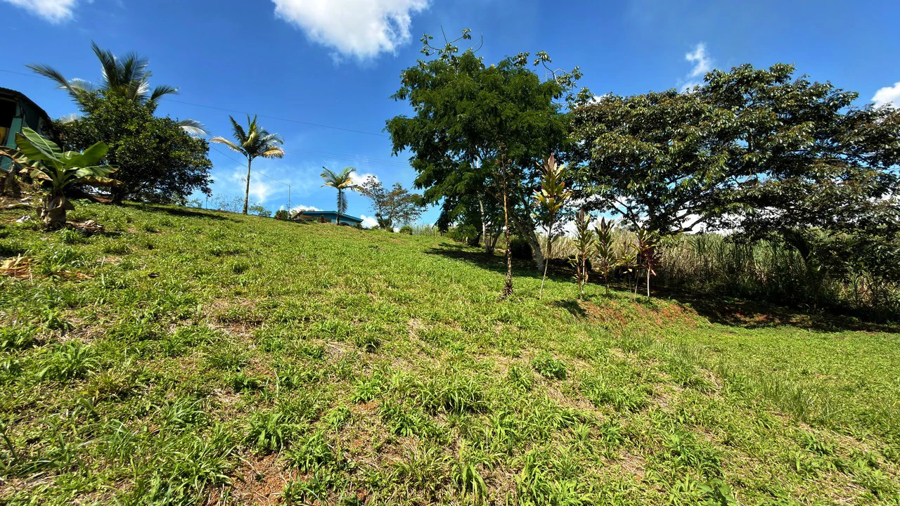 Countryside Home Construction Site For Sale in San Pedro - Gallery image 9