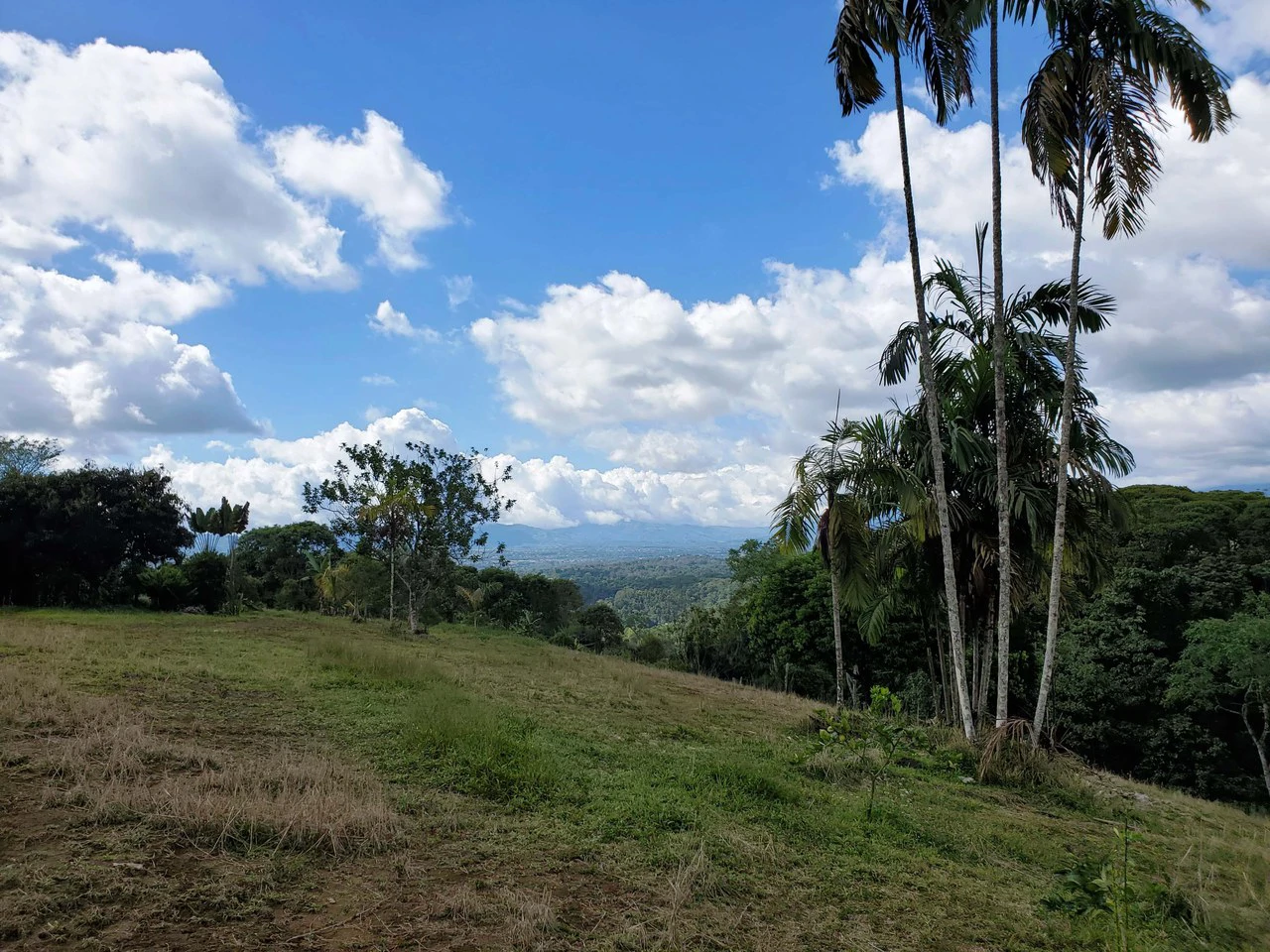 3.2 Acre Riverfront Property with Mountain Views San Francisco San Isidro - Gallery image 4