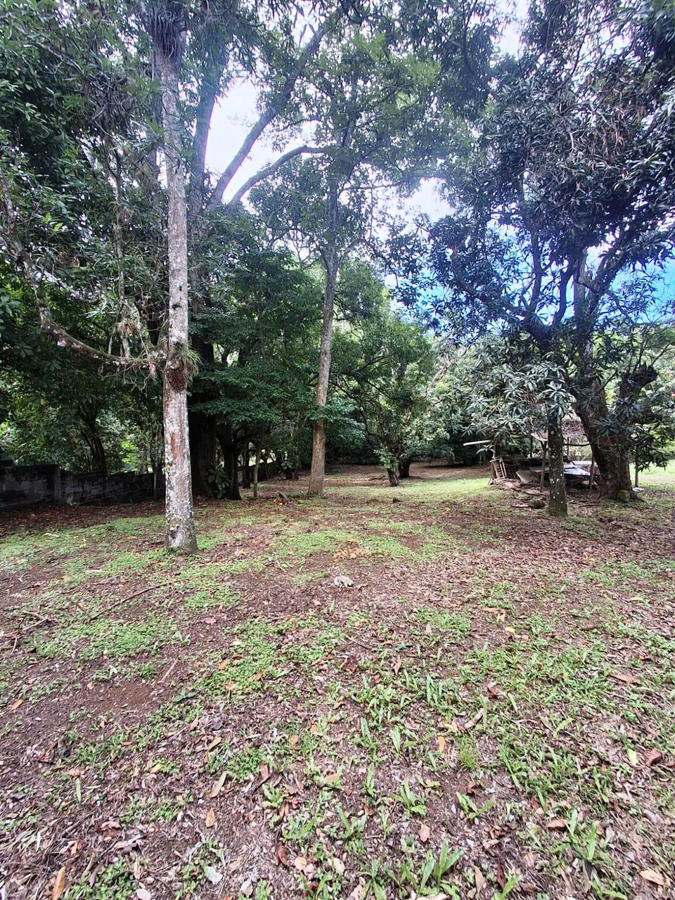 Flat Building Lot: 500 m2 Residential Lot in Atenas