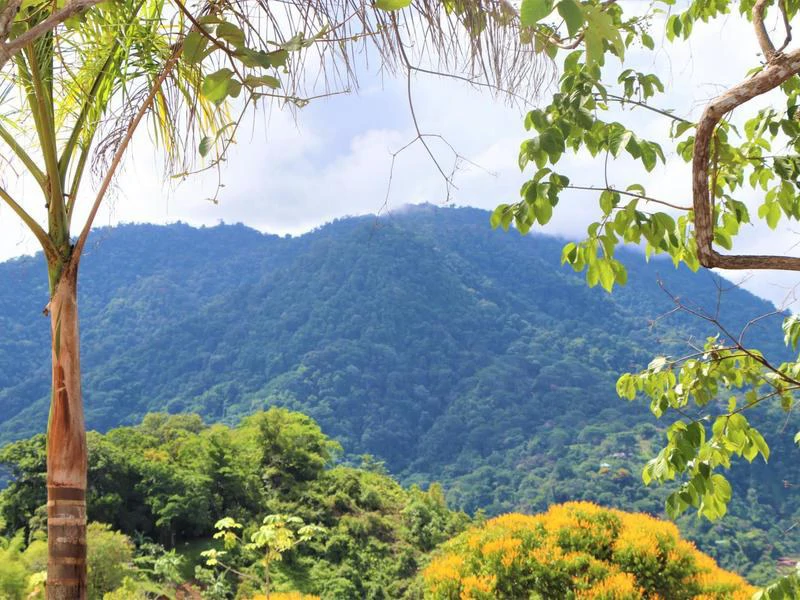 Captivating 3.15-Acre Property: Huge Pricedrop! Firesale Oceanview Lot in Tres Rios - Gallery image 58