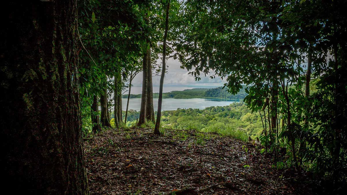 Rincon Massive Acreage and Gulf of Dulce Views - Gallery image 18