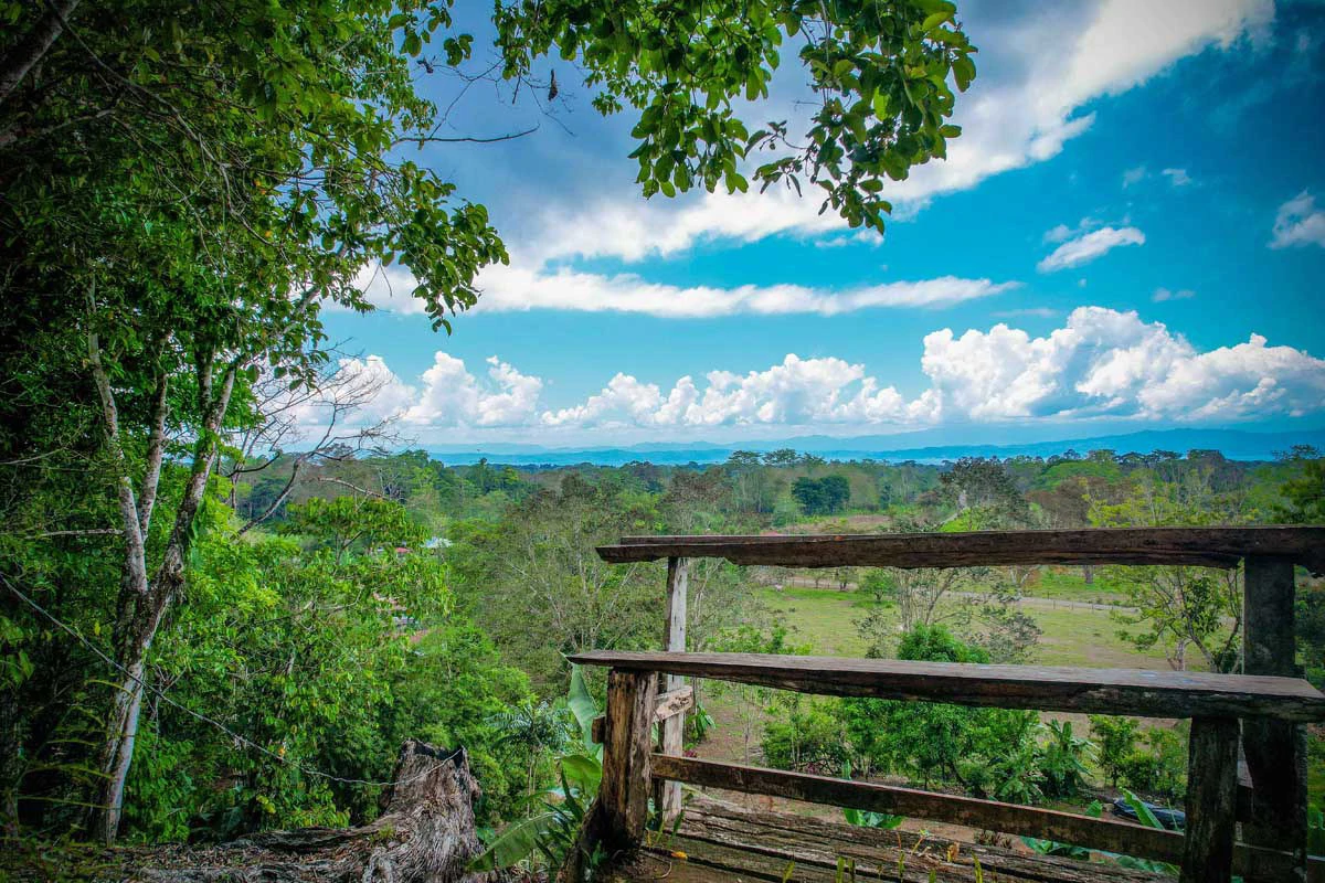 Hill House Gulf View | Property in Cañaza - Gallery image 17