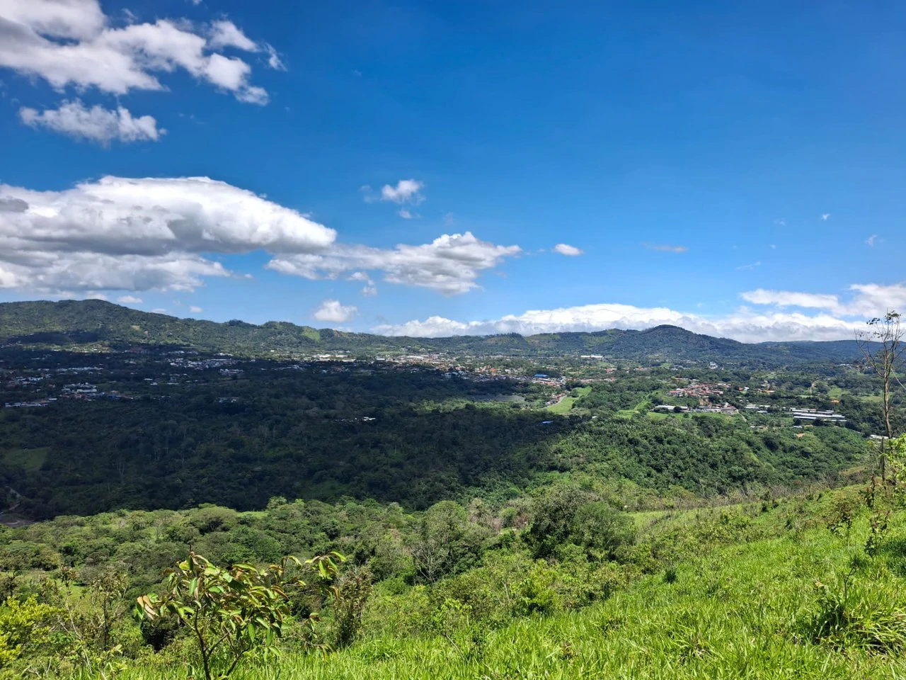 Historic Hilltop Sanctuary: ´Jurassic Park-like´ Development property! - Gallery image 22